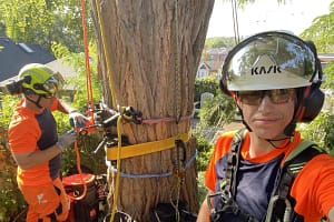 What’s the Difference Between an Arborist and a Landscaper?