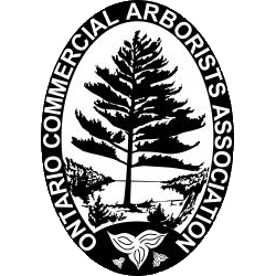 OCAA_logo